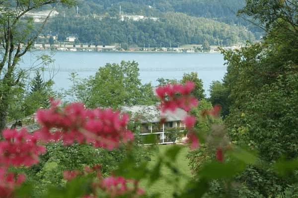 Blick vom Balkon über Blumen und Bäume auf den Wörthersee